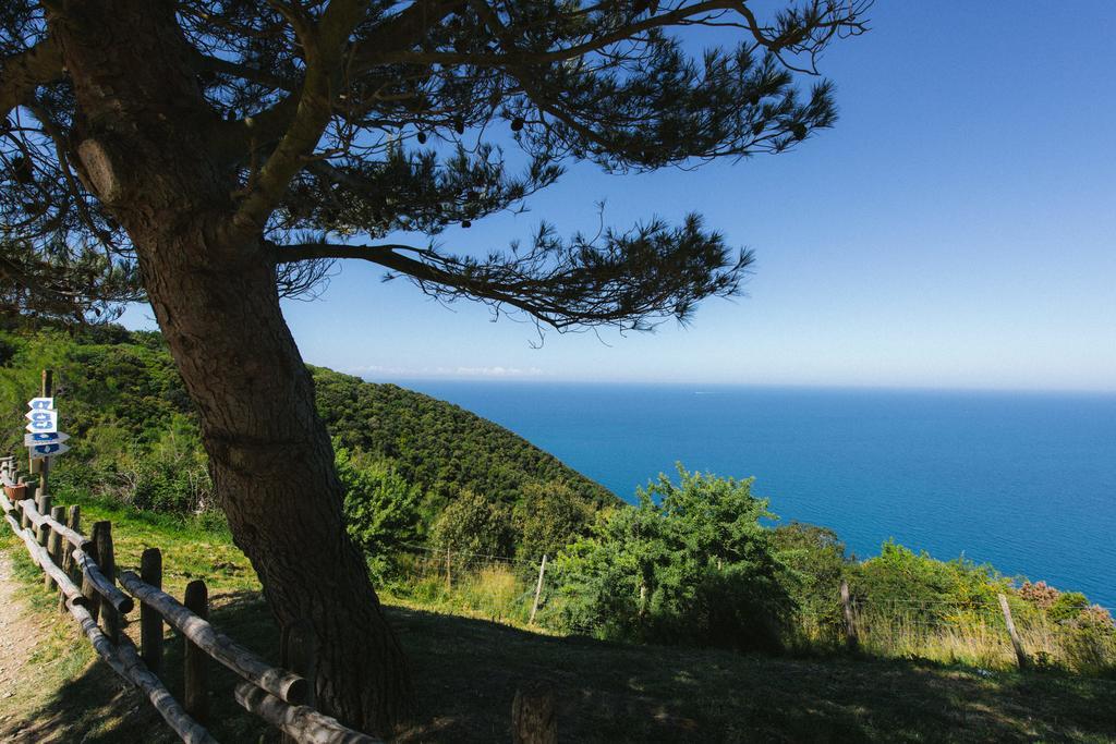 Torre Di Baratti Bio Resort Популонія Екстер'єр фото